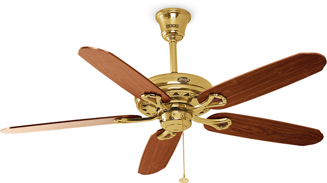 fan-image-1